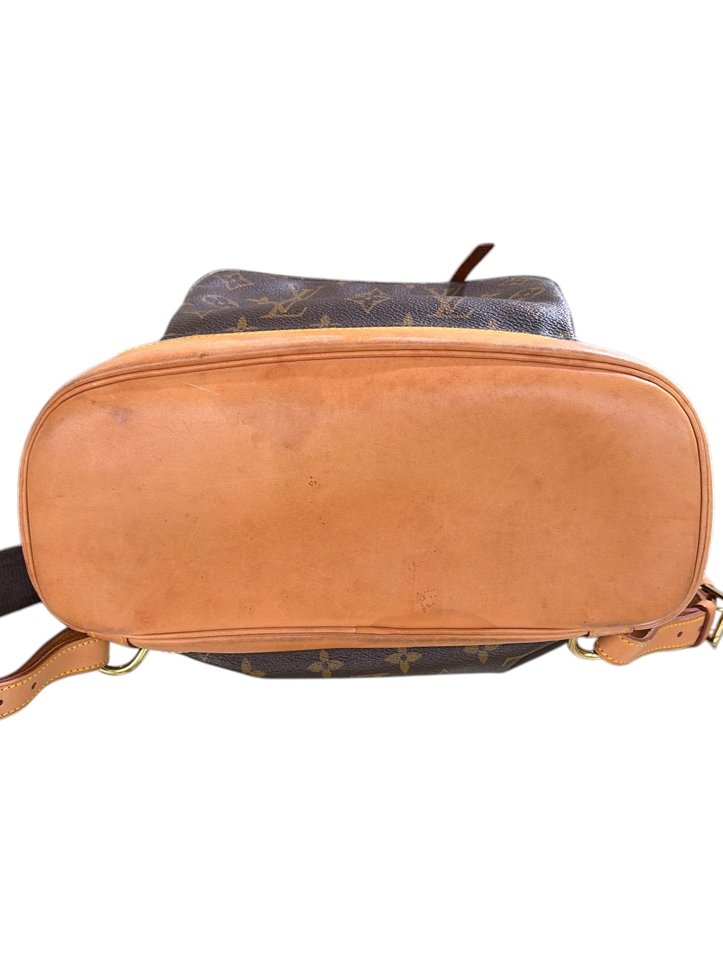 LV Montsouris MM Backpack