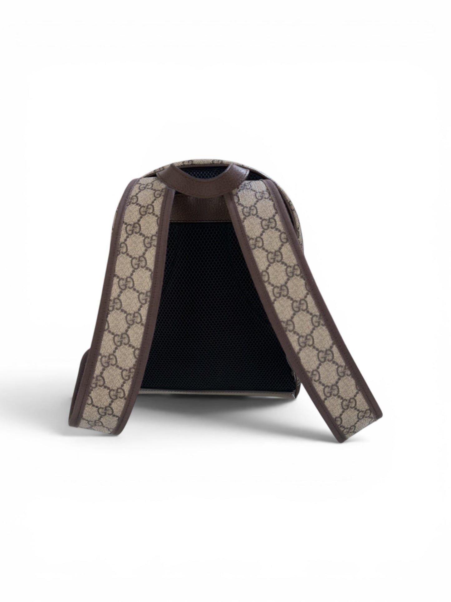 GG Ophidia Small Backpack